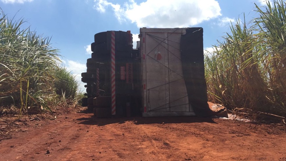 Caminhão de adubo tombou no canavial após o acidente (Foto: Gustavo Lago / TV TEM )