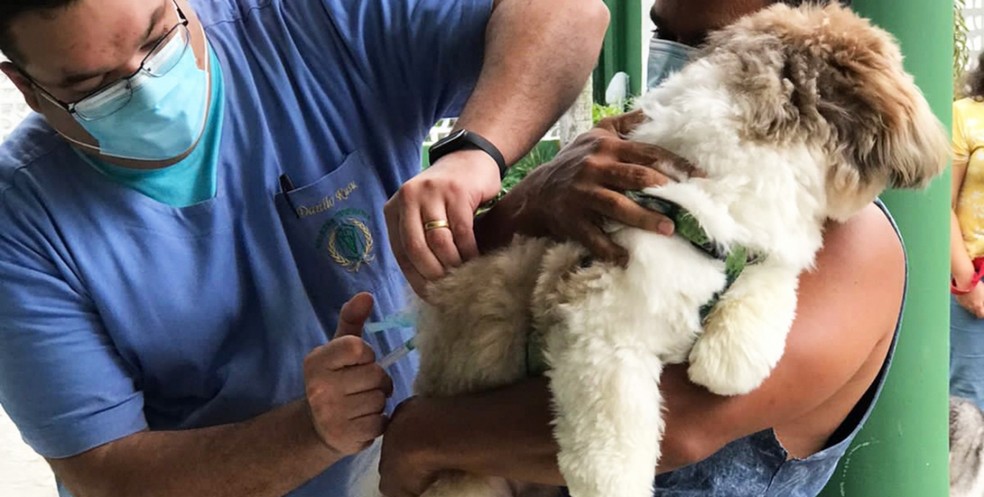 Cão recebendo vacina contra raiva— Foto: Prefeitura de Feira de Santana