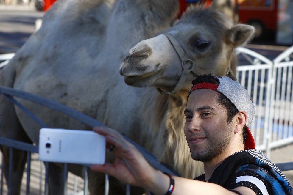Foto de arquivo de setembro de 2016 mostra um visitante tirando uma selfie com um camelo durante uma apresentação de circo na praça da Bastilha, em Paris — Foto: Francois Mori/AP/Arquivo