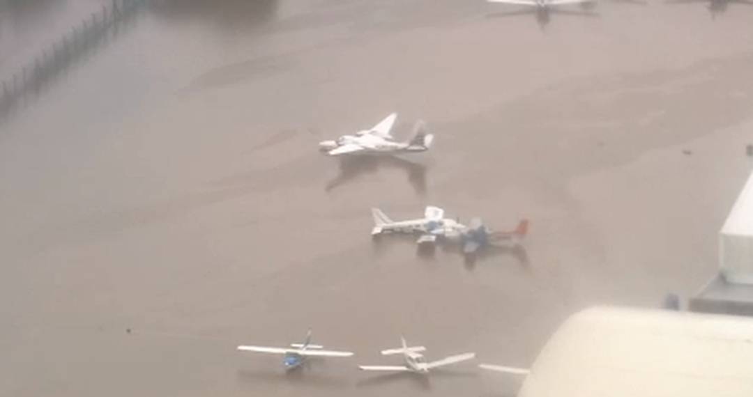 Avies ficam ilhados no Campo de Marte, em Santana, na Zona Norte de So Paulo.