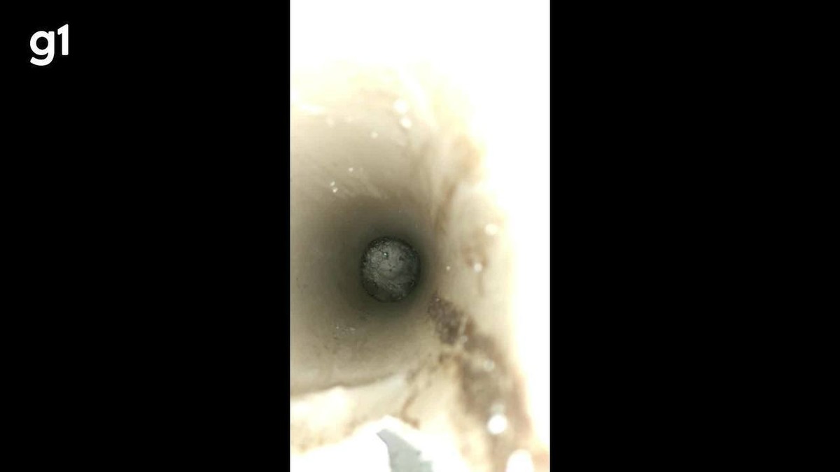 VÍDEO: Bombeiros quebram parede de casa para resgatar filhote de gato preso em cano 