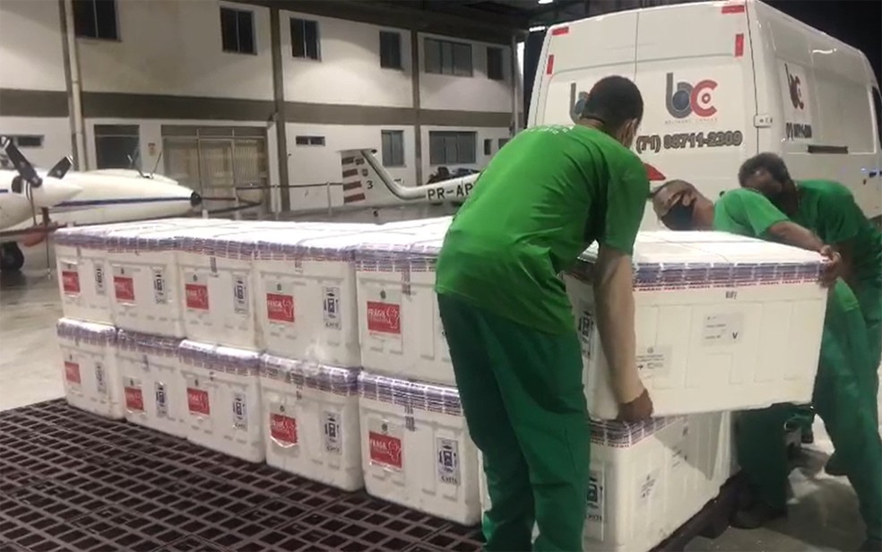 Nova carga de vacinas chegou à Bahia na madrugada desta quinta-feira — Foto: Divulgação/Sesab