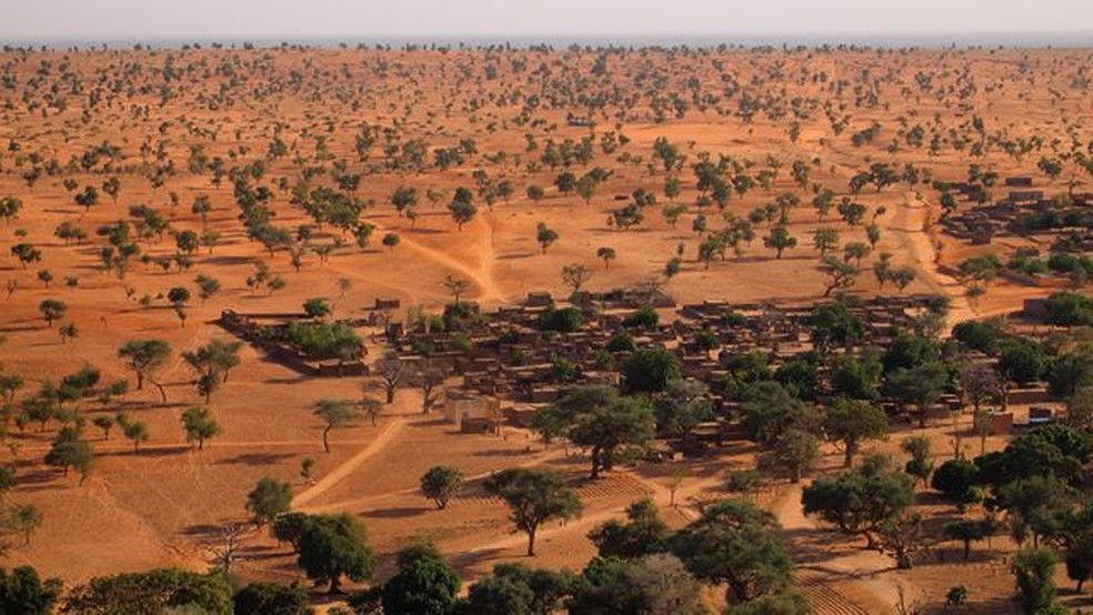 O Saara e o Sahel têm muito mais árvores do que se pensava — Foto: Martin Brandt/BBC