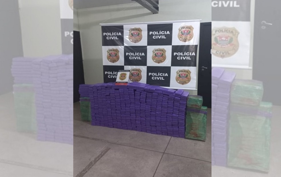 Polícia Civil de Bauru (SP) apreendeu carregamento de mais de 500 tijolos de maconha em Assis (SP) — Foto: Divulgação
