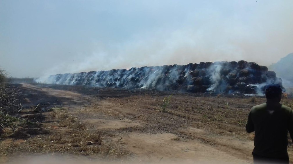 Plantação de cana-de-açúcar em fazenda foi atingida pelo incêndio — Foto: Corpo de Bombeiros de Sorriso/Ten Cel BM Jean