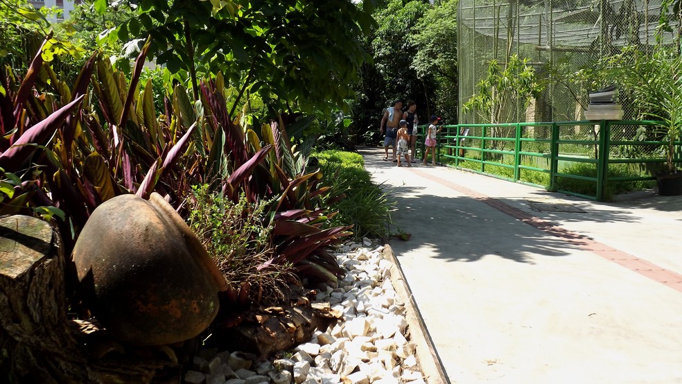 Orquid&aacute;rio Municipal de Santos, SP, reabre com restri&ccedil;&otilde;es nesta segunda-feira &mdash; Foto: Ivair Vieira Jr/G1
