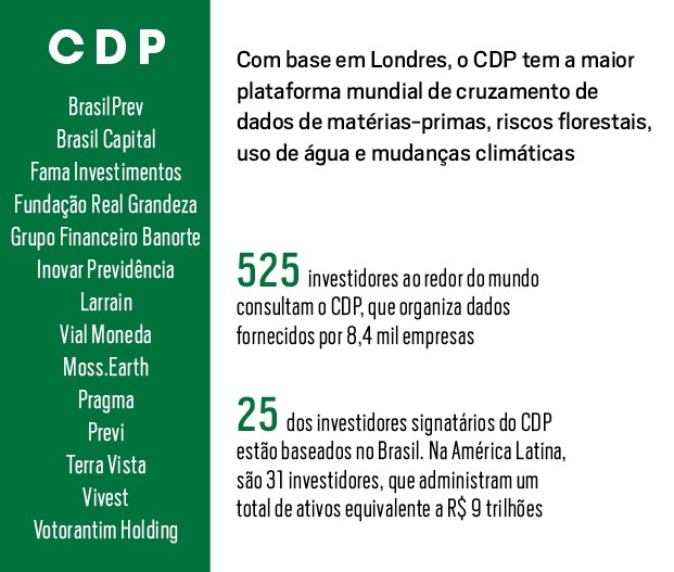 O ecossistema de inovação financeira no Brasil (Foto:  )