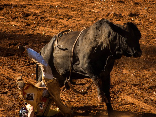 Peão é pisoteado por touro durante montaria na festa de Barretos