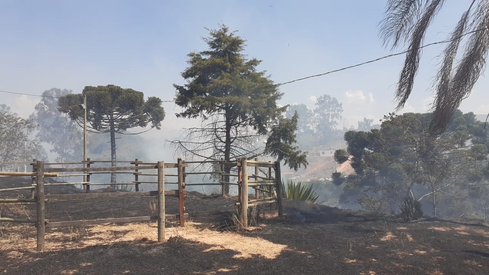 Área atingida pelo incêndio criminoso em Barbacena — Foto: Bombeiros/Divulgação