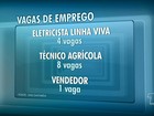 Sine de Santarém oferta 13 vagas de emprego; confira as oportunidades