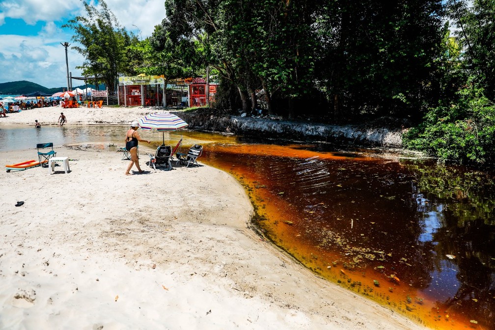 Banhista em Canasvieiras, próximo ao poluído Rio do Brás, em Florianópolis — Foto: Tiago Ghizoni/NSC