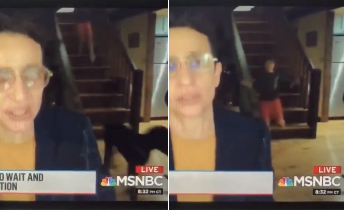 Hilário: jornalista é interrompida durante transmissão ao vivo (Foto: Reprodução/msnbc)