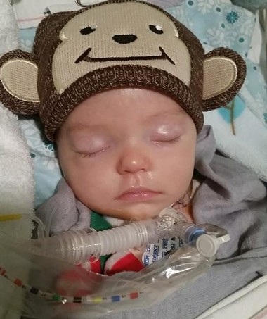 Pequeno Knox no hospital Sunrise Children, em Las Vegas, após ser encontrado inconsciente em seu berço.  (Foto: Reprodução/Instagram)
