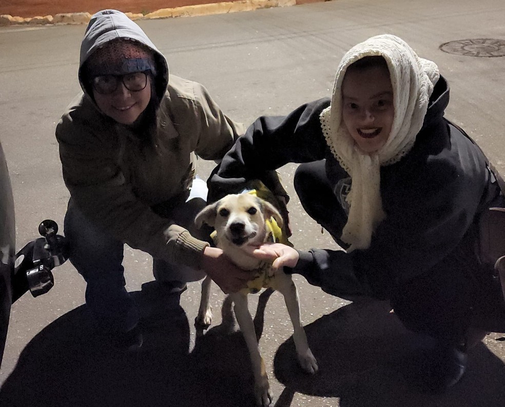 Durante noites frias, animais de rua ganham roupinhas em Itapetininga  — Foto: UIPA/ Divulgação 