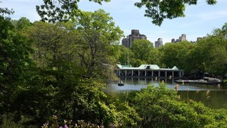 Central Park, em Nova York, durante a primavera. O local é um oásia de tranquilidade no ambiente urbano da cidade e um dos pontos turísticos mais visitados da Big Apple — Foto: TIMOTHY A. CLARY / AFP