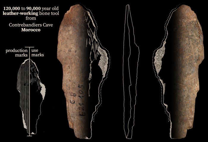 Ferramenta de osso usada para trabalhar couro de 120 mil a 90 mil anos atrás  (Foto: Jacopo Niccolò Cerasoni )