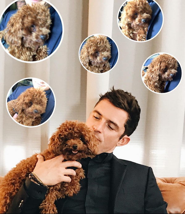 O ator Orlando Bloom com seu cachorrinho (Foto: Instagram)