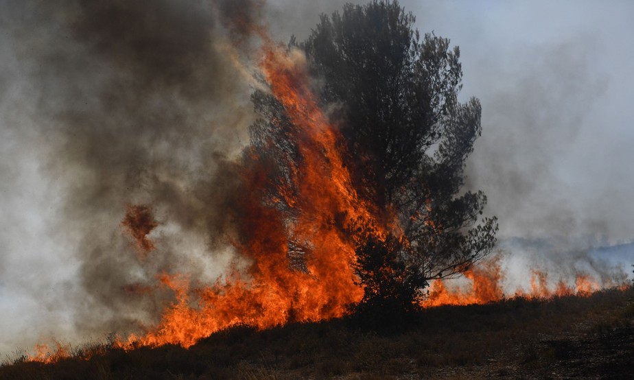Árvore queima por incêndio florestal em Tarascon, sudeste da França