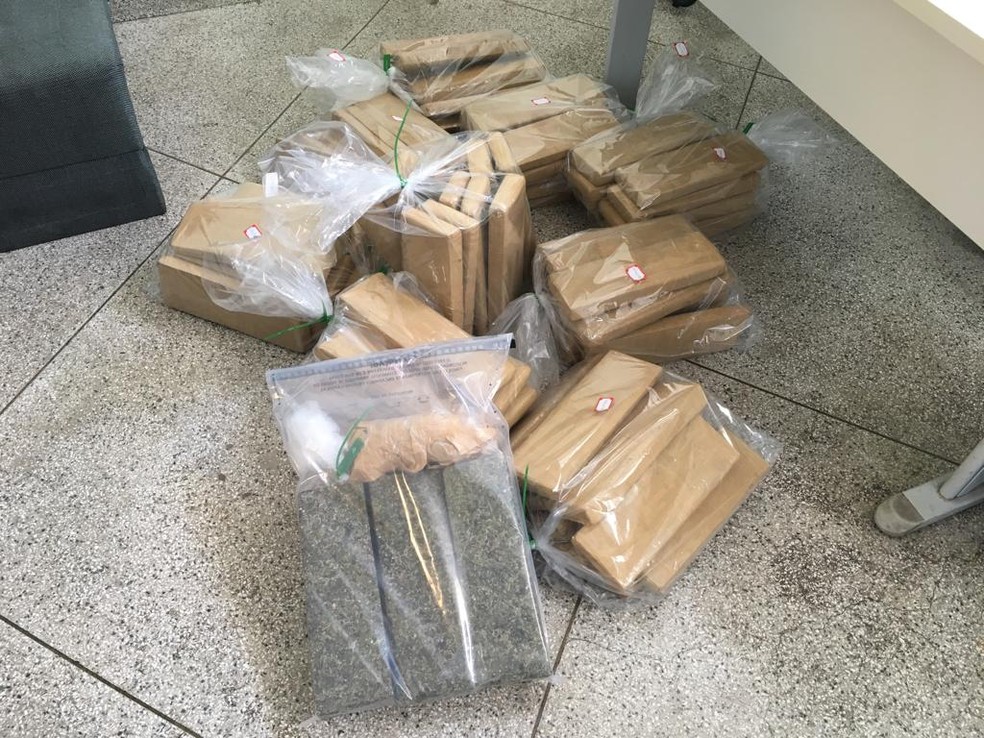 Polícia apreendeu mais de 170 quilos de droga  — Foto: João Alberto Pedrini/G1