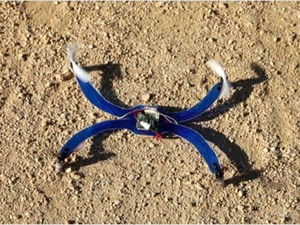 Protótipo da Nixie, uma pulseira que se transforma em um drone para, após alçar voo, tira fotos aéreas. (Foto: Divulgação/Intel)