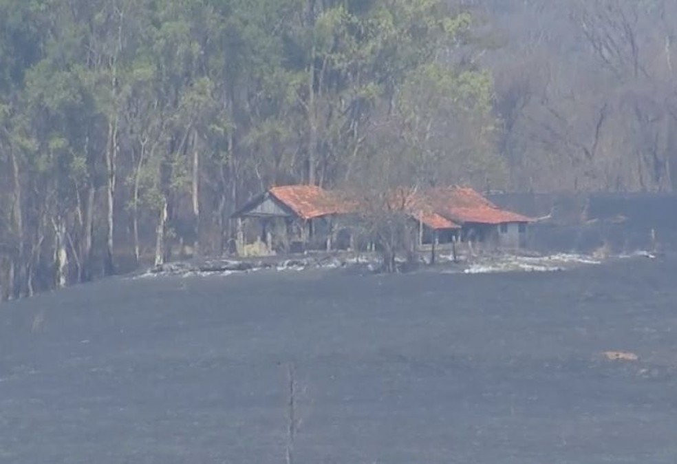 Fogo chegou perto das casas em Oriente  — Foto: TV TEM/ Reprodução