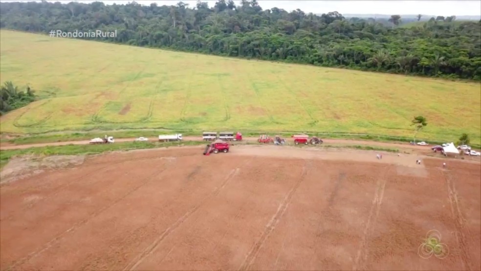 Fazenda Serra Verde usa o ILP em Rondônia — Foto: Reprodução/Rede Amazônica