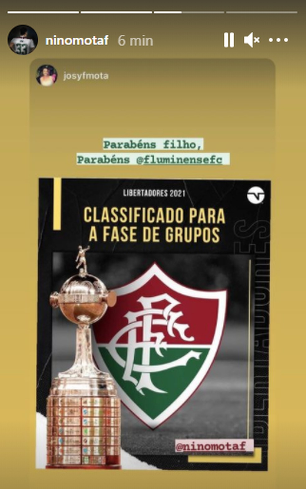 Nino comemora classificação direta do Fluminense na Libertadores — Foto: Reprodução
