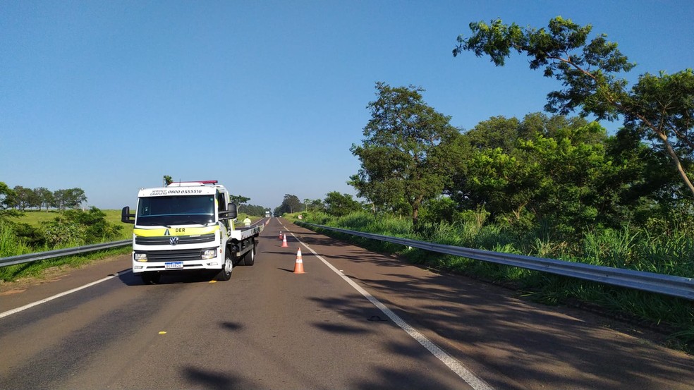 Atropelamento foi registrado na Rodovia Olímpio Ferreira da Silva (SP-272), em Pirapozinho (SP) — Foto: Bruna Bachega/TV Fronteira