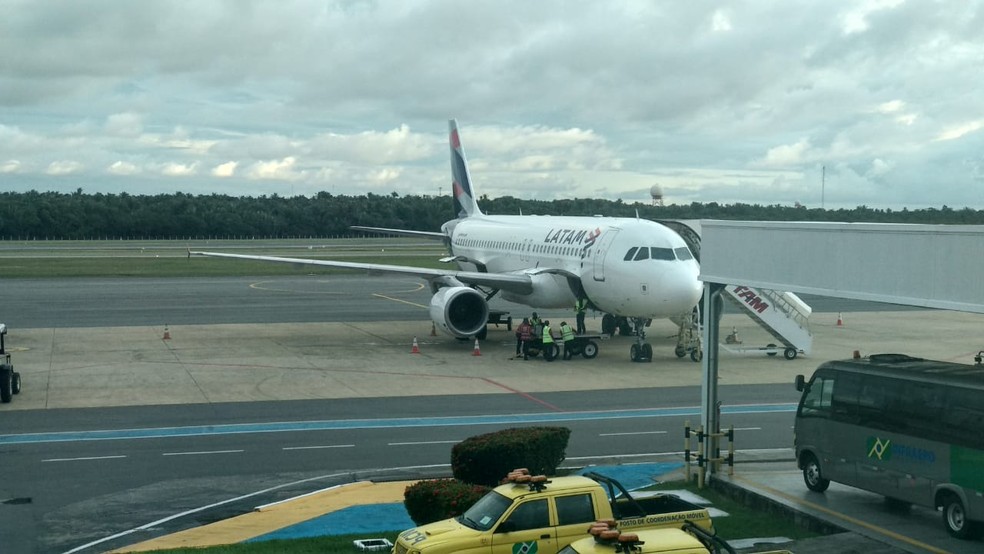 Voo 3419 da Latam no pátio do Aeroporto Marechal Hugo da Cunha Machado, em São Luís (MA), após a colisão. — Foto: Divulgação