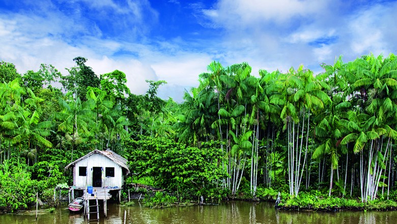 Amazônia tem a maior biodiversidade do mundo, uma biblioteca natural que a ciência ainda não identificou por completo (Foto: Getty Images)