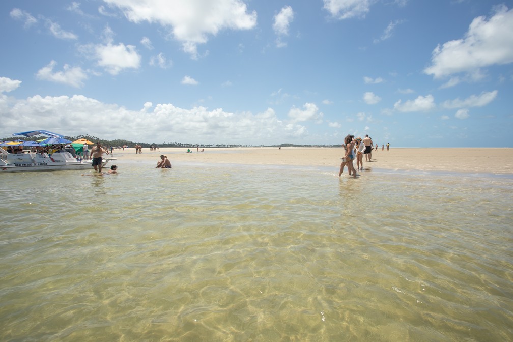 Banco de areia em Carneiros: água transparente e quente — Foto: Celso Tavares/G1