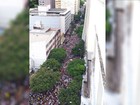 Carnaval de BH reuniu mais de 2 milhões de pessoas nas ruas, diz PM