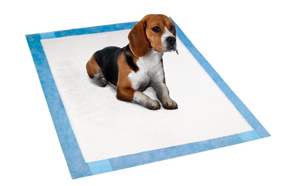 Tapete higiênico para cães (Foto: Reprodução/Amazon)
