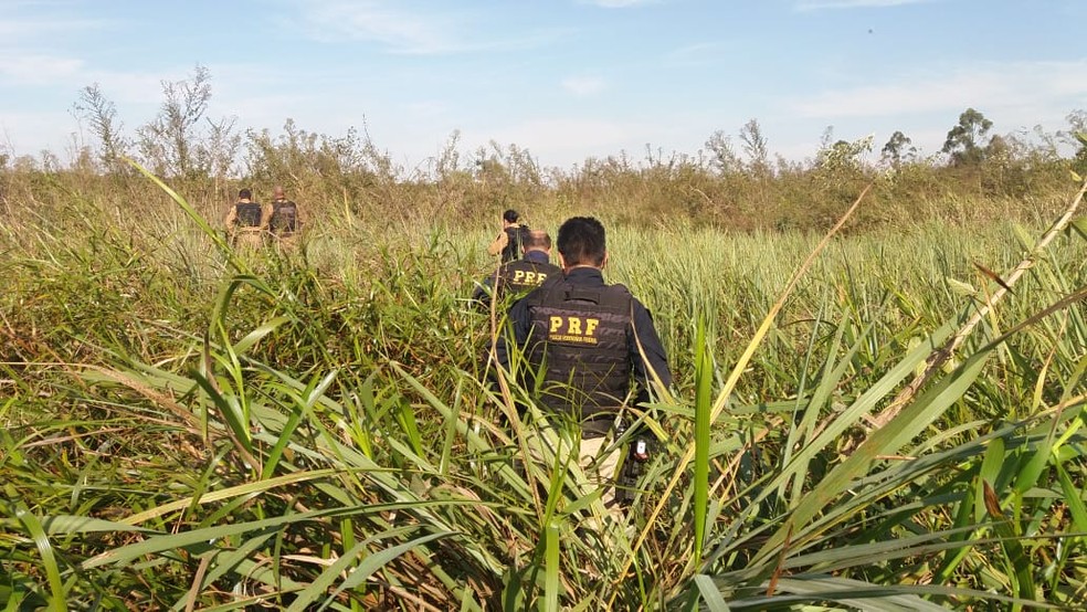 Suspeito tentou fugir por área de mata em Jacarezinho, mas foi localizado e preso (Foto: Polícia Rodoviária Federal / Divulgação )
