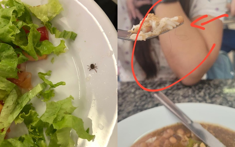 Alunos mostram carrapato e cabelo em comida no Hospital das Clínicas — Foto: Reprodução/Redes Sociais