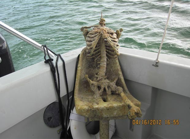 Esqueleto retirado da água era de plástico. (Foto: Divulgação/Monroe County Sheriff's Office)