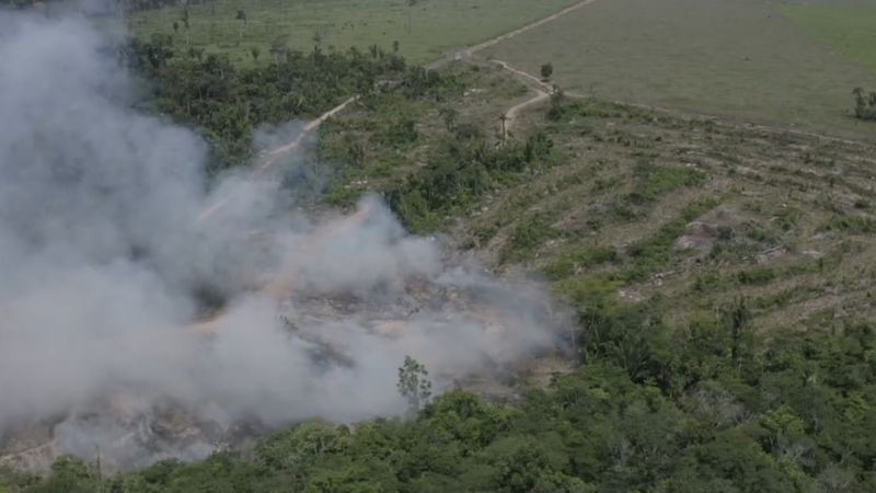 Queimada em Rondônia; ao desmatar um terreno, grileiros creem ter mais chance de poder regularizar a ocupação (Foto: BBC News)