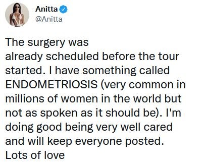 Anitta operou recentemente por conta de uma endometriose (Foto: Reprodução / Twitter)
