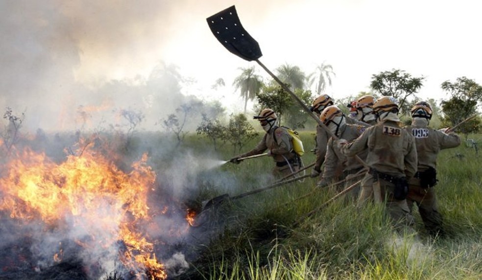 Trabalho dos brigadistas so essenciais para a combate dos incndios no Pantanal  Foto: GOV-MS/Reproduo