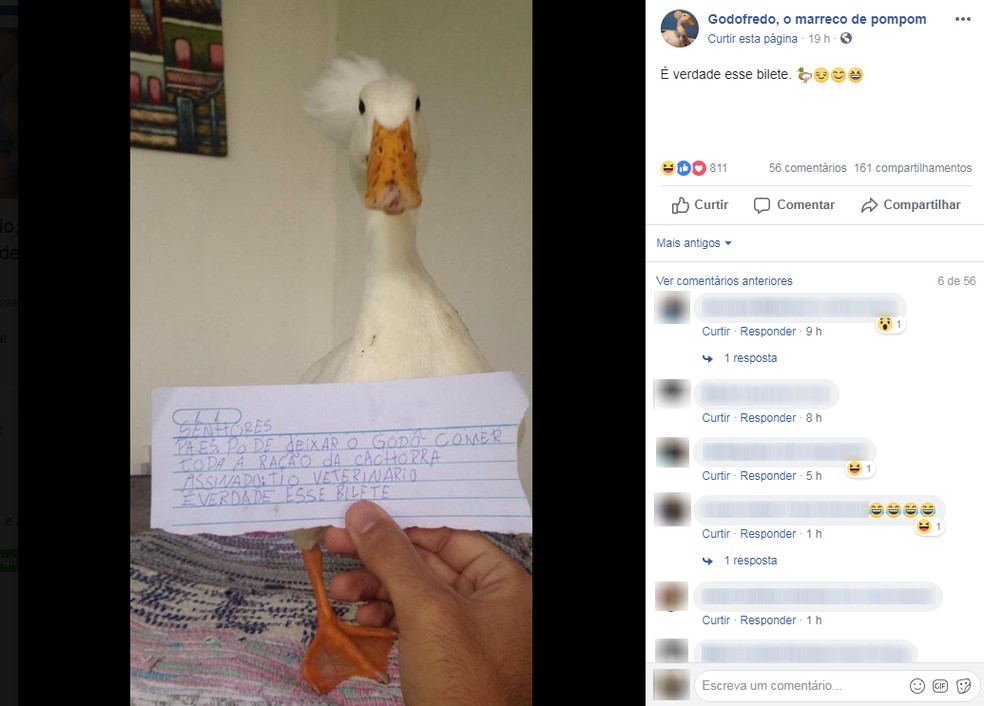 "Bilete" de garoto de Bocaina (SP) virou meme nas redes sociais (Foto: Reprodução/Facebook)