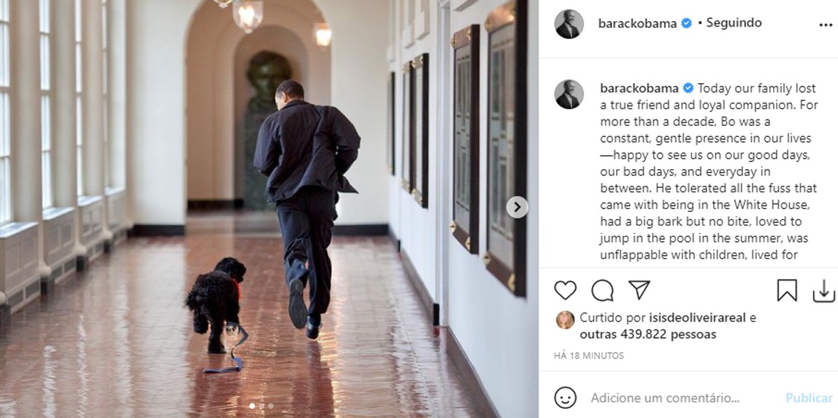 Morre Bo, cachorro da família Obama (Foto: Reprodução/Instagram)