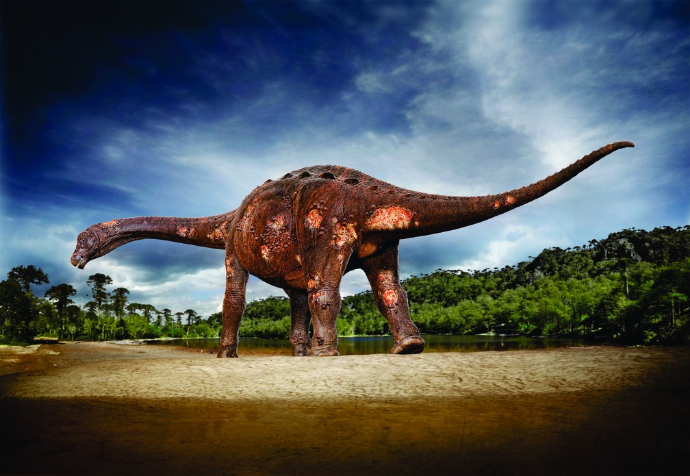 Ilustração de reconstrução mostra titanossauro com osteomielite aguda, infecção óssea que deforma os ossos e que provavelmente causou muita dor aos dinos. — Foto: Hugo Cafasso