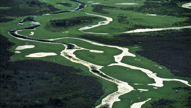 pantanal (Foto: Valdemir Cunha/Ed. Globo)