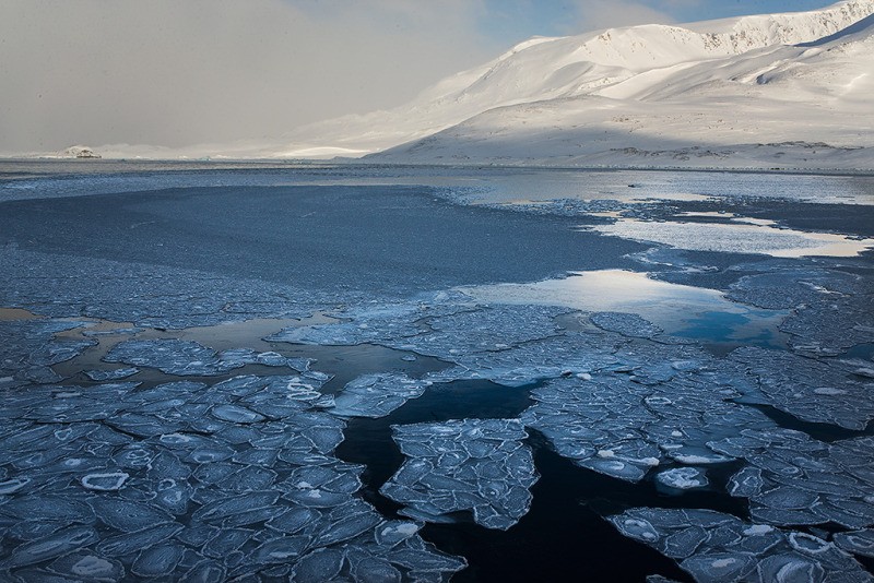 Temperatura do Ártico chegou a 38° C na cidade russa de Verkhoyansk  (Foto: Brutus Ostling/WWF)