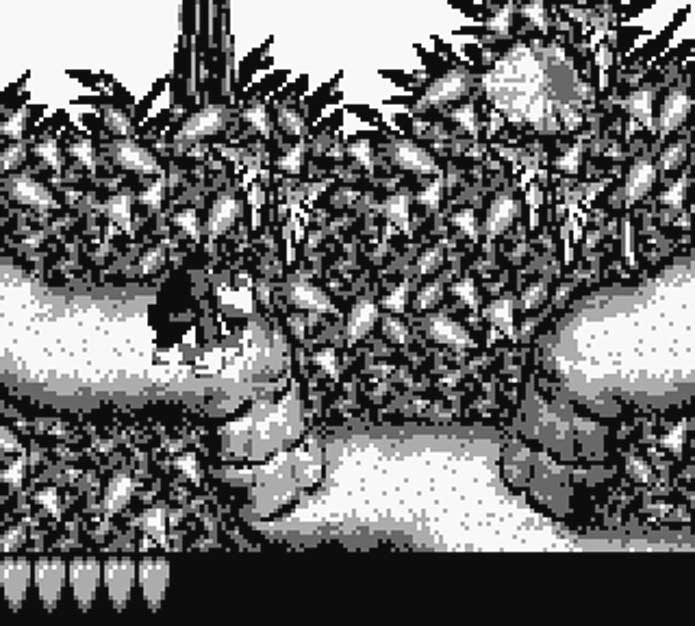 Donkey Kong Land no Game Boy (Foto: Divulgação/Nintendo)