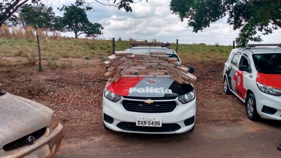 Carga de maconha foi apreendida em Pacaembu nesta quarta-feira (21) — Foto: Polícia Militar