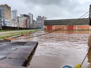 Água bate recorde de 48 anos no Guaíba, em Porto Alegre (Foto: Reprodução/RBS TV)