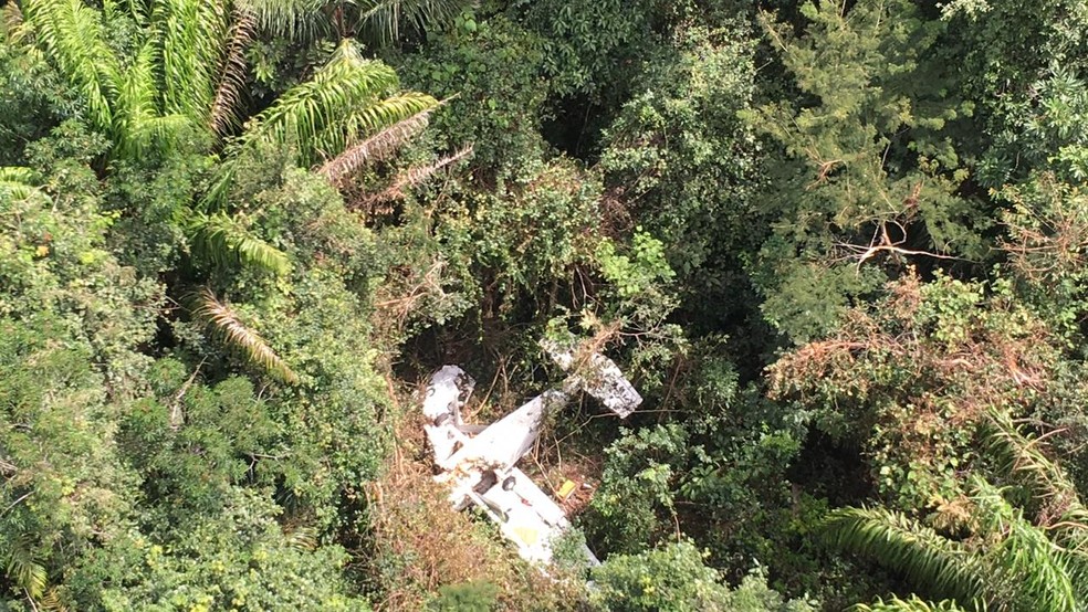 Avião foi encontrado em mata fechada — Foto: Polícia Militar
