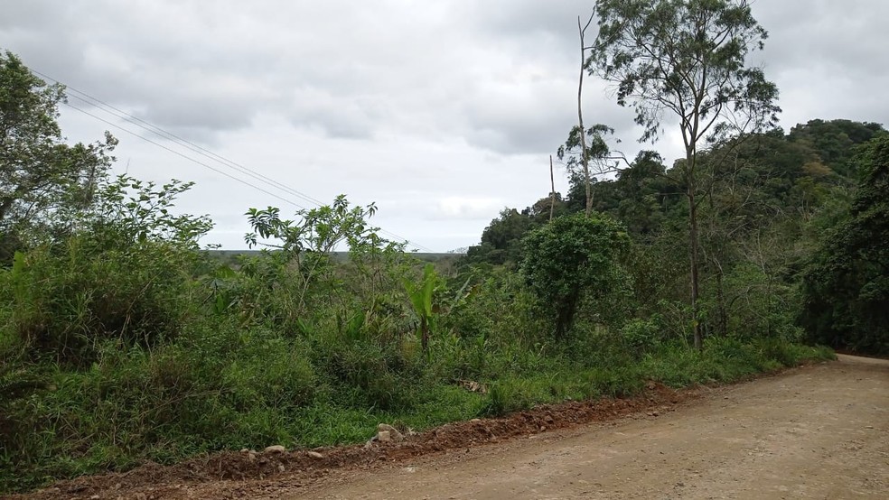 Estudante precisa subir em um morro em aldeia indígena para conseguir sinal de internet — Foto: Arquivo Pessoal