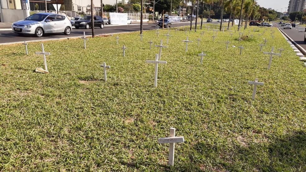 Mais de 120 cruzes foram colocadas na avenida em Bauru — Foto: Fernando Savioli / TV TEM 